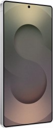Samsung Galaxy S25 Ultra 12/256GB серебряный титан