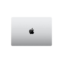 Apple MacBook Pro 14" M4 Max 16c CPU, 40c GPU, 64/1TB серебристый (2024)